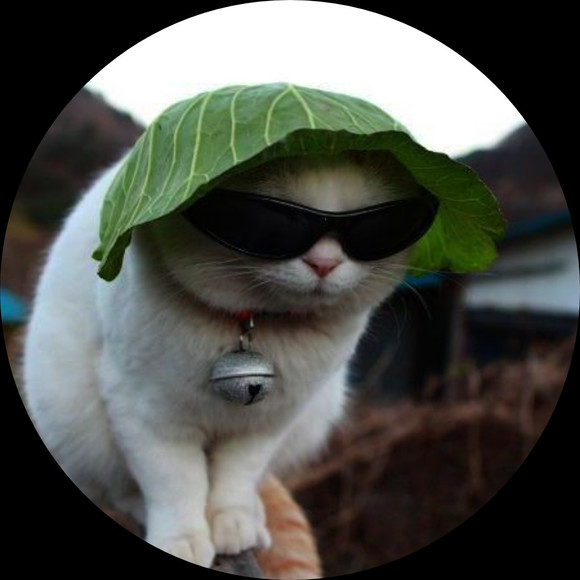 Meet your Posher, Emmaleigh - Picture 1 of 1